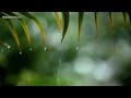 10 Hours of Relaxing Music  // Sleep Music with Rain Sound, Piano Music for Stress Relief