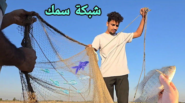 طلعنة نصيد سمك بالشبجة 🕸🎣 صدنة اكثر من 15 سمكة 🐟 وكليناهن بالبر سفرة ماراح تتكرر بحياتي ابد 😁😂