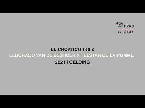 El Croatico T40 Z