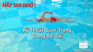 Bạn Đã Bơi Sải Được Chưa - Cách Thức Chuyển Động Trong Bơi Sải Bạn Cần Phải Biết | Mẹo Học Bơi Sải