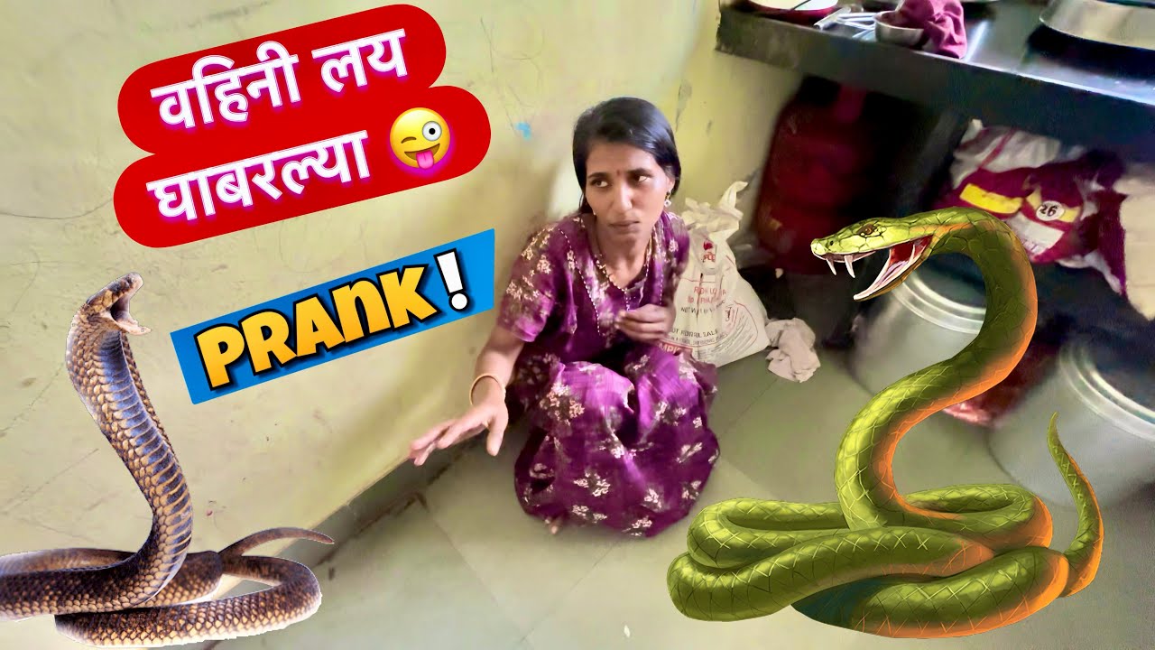 वहिनींवर केला सापाचा प्रॅंक 😜 लय घाबरल्या #snake #prank
