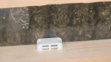 July 2014 Top Bar Hive - Observation window