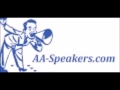 NEW AA Speaker Chris H. "One Day at a Time"