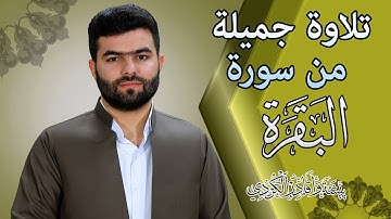 تلاوة جميلة  من اواخر لسورة البقرة - بيشهوا قادر الكردى
