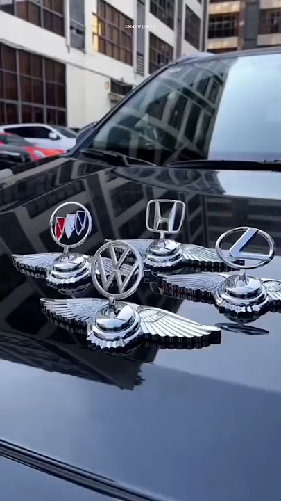 Car hood 3D large car logo 😍😱 #caraccessories #cargadgets