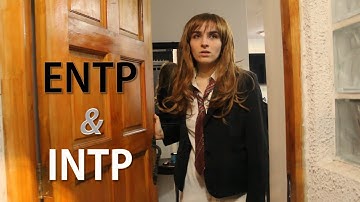 ENTP & INTP roommates