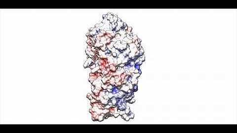 Ultra-fast plant enzyme dynamics leads to breakthroughs