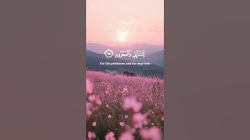 تلاوة هادئة | #قرآن #اذكار #quran #قران_كريم #راحة_نفسية #تلاوة_خاشعة #تلاوة_هادئة #رقية_شرعية #آيات