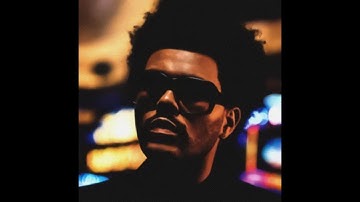 14 - Hold Your Heart (Bonus Track)