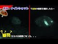 金魚の寝顔を撮影したら良く分からなかったww