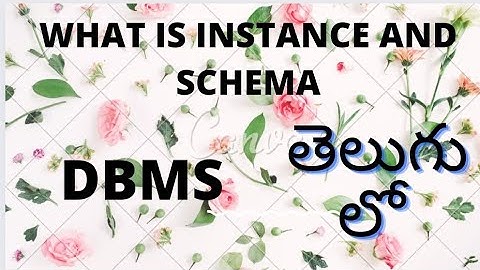 What is instance and schema in Telugu | what is instance and schema in DBMS | DBMS