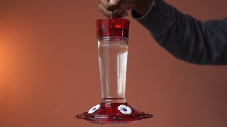 Overview & DEMO: More Birds Bird Health+ Ruby Hummingbird Feeder for Outdoors