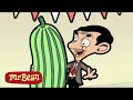 Marrow Madness  | Mr Bean Cartoon Season 1 | Full Episodes | Mr Bean Cartoon World