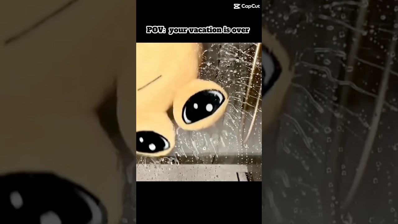 POV your vacation is over