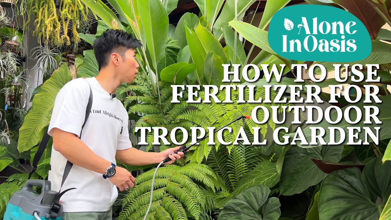 How to Fertilize for Outdoor Tropical Garden | The Benefits of using  organic fertilizer & Pesticide