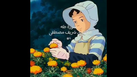 قال ربي اشرح لي صدري، سورة طه القارى شريف مصطفى #القرآن_الكريم #المصحف #قرآن