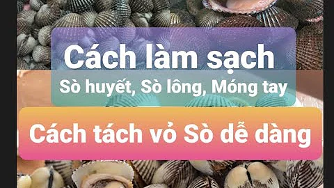 Top 20 cách làm sạch sò huyết