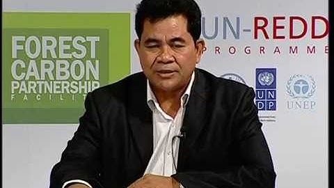 Process and Status on the Formulation of the National REDD+ Strategy