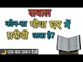कौन-सा पौधा लगाने से घर में ग़रीबी आती है? | Islamic Sawal Jawab | 99% लोग नहीं जानते| Islamic GK