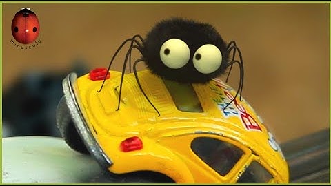 Spider Driver 🕷️ Minuscule 🚗 30