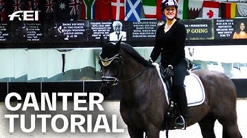 How to improve your Canter? Tutorial with Dressage Trainer Natasha Althoff | Guest Vlog