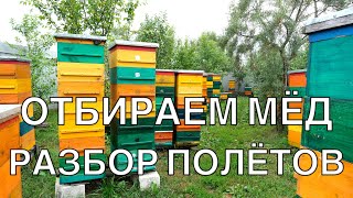 видео: ПРАВИЛЬНЫЙ ОТБОР МЁДА  МНОГОКОПУСНОЙ УЛЕЙ РУЛИТ. картинка: ПРАВИЛЬНЫЙ ОТБОР МЁДА  МНОГОКОПУСНОЙ УЛЕЙ РУЛИТ.