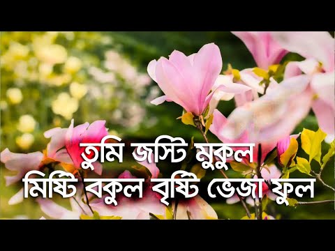          Tumi josti mukul misty bokul  Full Lyric  PHS HD