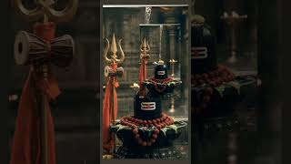 #shreemahakaleshwarujjain 🙏🙏shiv sakar 🙏🙏🚩🚩