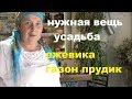 УТРО в ДЕРЕВНЕ#  АНТИБИОТИК в МОЛОКЕ?   АНТИБРЫК# УСАДЬБА ОБЗОР