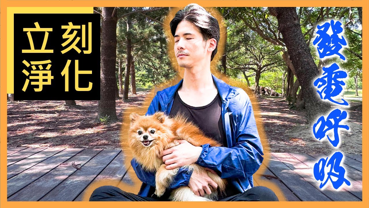 立刻消除壞心情!10分鐘【發電呼吸引導】10 min Guided Alkaline Breathwork
