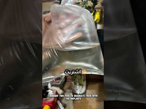 اشترين سمكتين وحطيتهم في حوض فيه زرع
