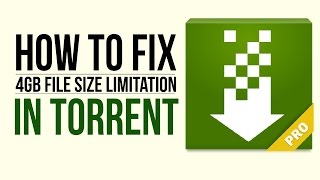 How to fix 4gb file size Limitation in Torrent android using Paragon exFAT, NTFS & HFS+ screenshot 5