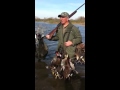 Caza de patos en río Pinto- Santiago del Estero