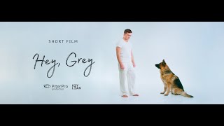 Hey, Grey - по мотивам рассказа Лии Тимониной "Прости меня, пес"