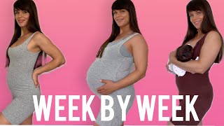 Pregnancy Transformation Week By Week | 9 Months In 60 seconds