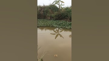 Điểm câu cá diếc ngon tại "Công trường"