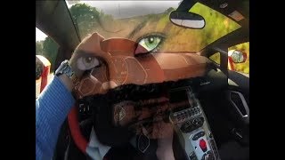 Roxette - The Look (Lyrics) Legenda Inglês - Português