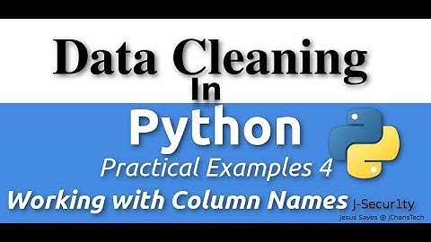 Data Cleaning In Python - Working with Column Names(Practical Examples)