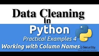 Data Cleaning In Python - Working with Column Names(Practical Examples)