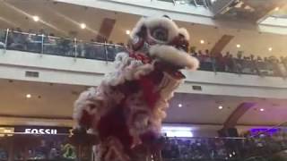 Fabian Rafa Arfan - Kong Ha Hong Barongsai Pondok Indah Mall 2018