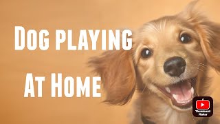 Beagle playing at home || Happy Beagle || Dog Masti || @beaglethezooyi by BEAGLE THE ZOOYI 642 views 3 months ago 2 minutes, 9 seconds