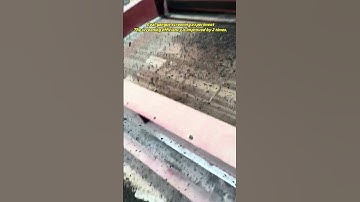 Experiment on screening coal gangue with high frequency sieve#sandmaker#powderseparator