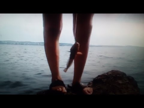Как и на что ловить бычка на море