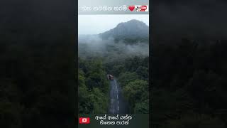 හිත නවතින තරම්, යන්න හිතෙනවා See the beauty ❤ shorts short trendingshorts reels tiktok viral