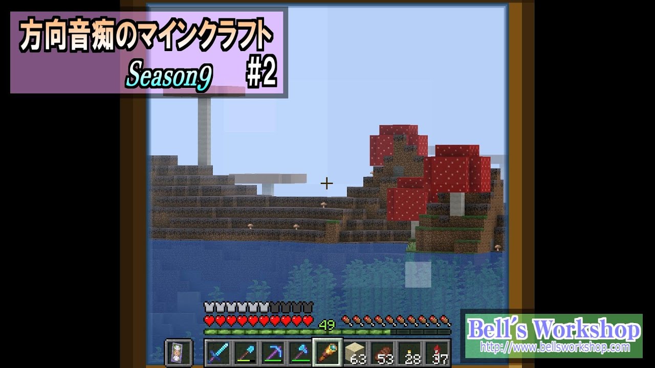 Season9 Part2 投稿しました 芽生えるアメジストを１時間観察