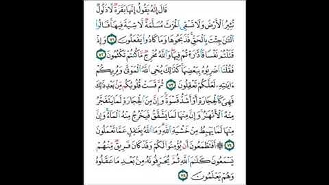 سورة البقرة  الآية 74 مكررة خمس مرات للحفظ