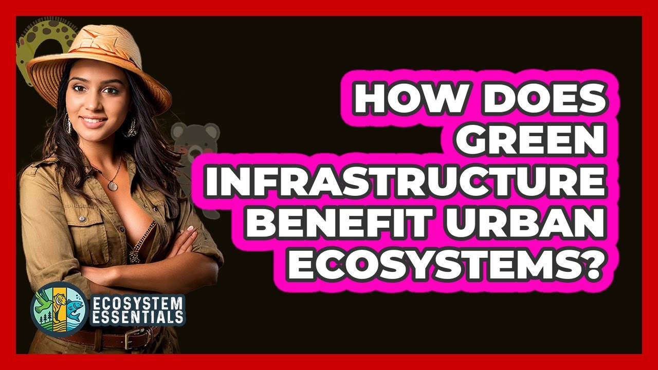 How Does Green Infrastructure Benefit Urban Ecosystems? - Ecosystem Essentials