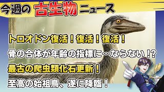 実は無効だった？トロオドン復活！始祖鳥の新化石！シカゴ標本公開