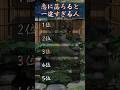 恋に落ちると一途すぎる人　#占い #恋愛占い #恋愛運 #縁結び #金運 #開運 #スピリチュアル