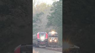 Cat crosses tracks before Amtrak Carolinian Train 80. Durham, NC